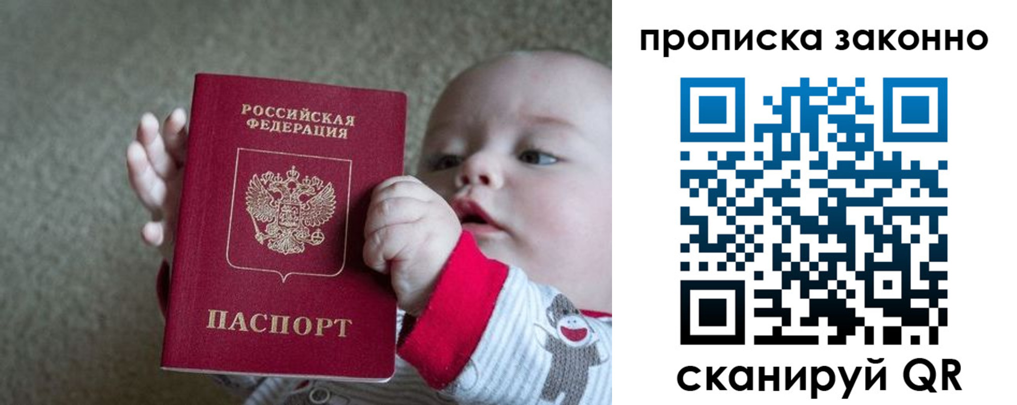 прописка гарантия в Смоленске